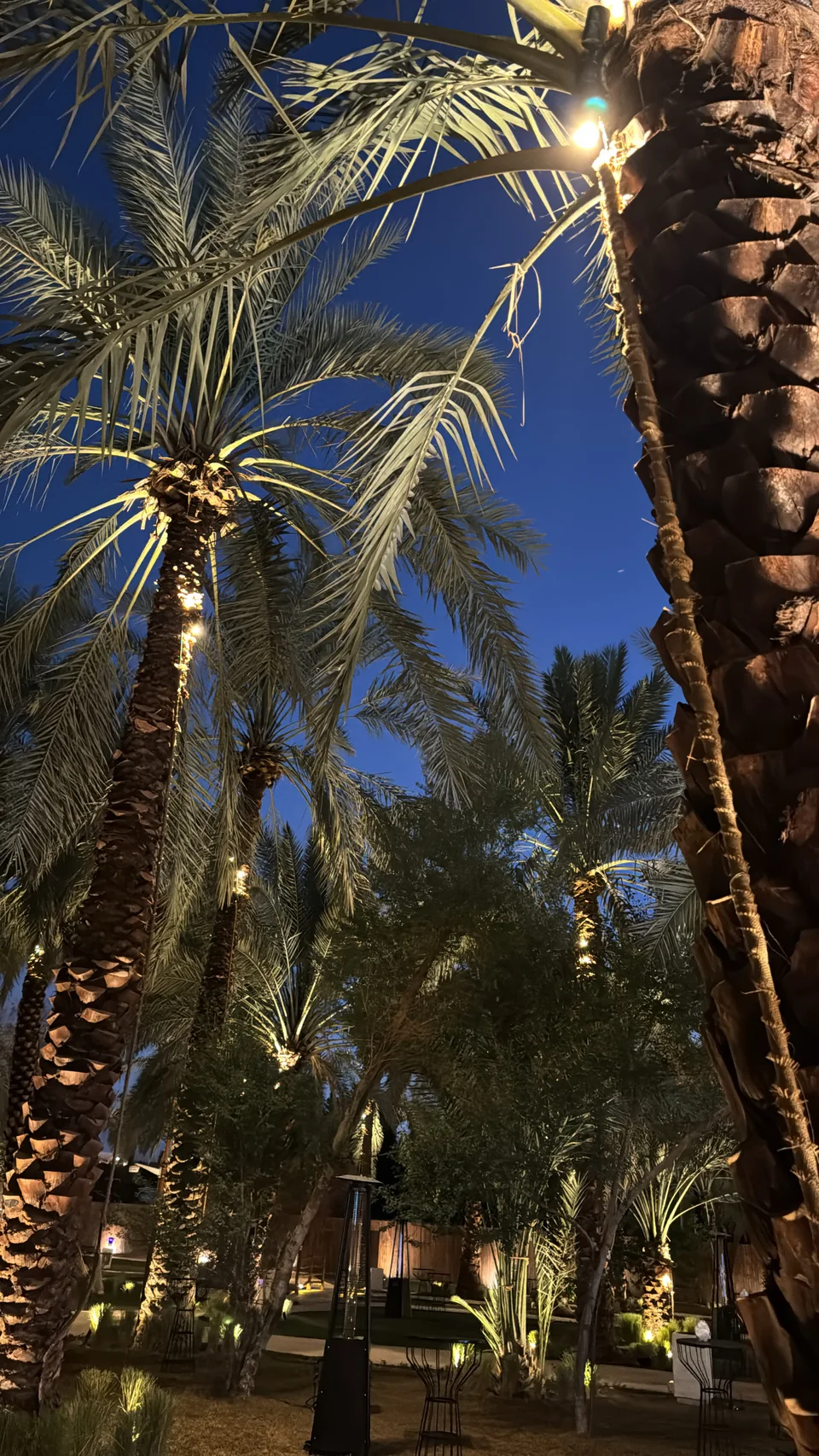 أجواء بستان المستظل ليلًا